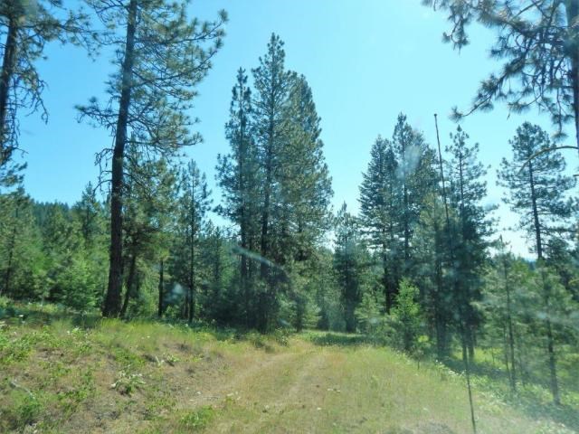 Tbd Silver Creek Road Keller, WA 99140 - Photo 3 of 7 Gallery Image 3