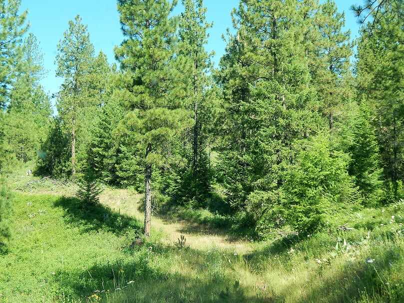 Tbd Silver Creek Road Keller, WA 99140 - Photo 4 of 7 Gallery Image 4
