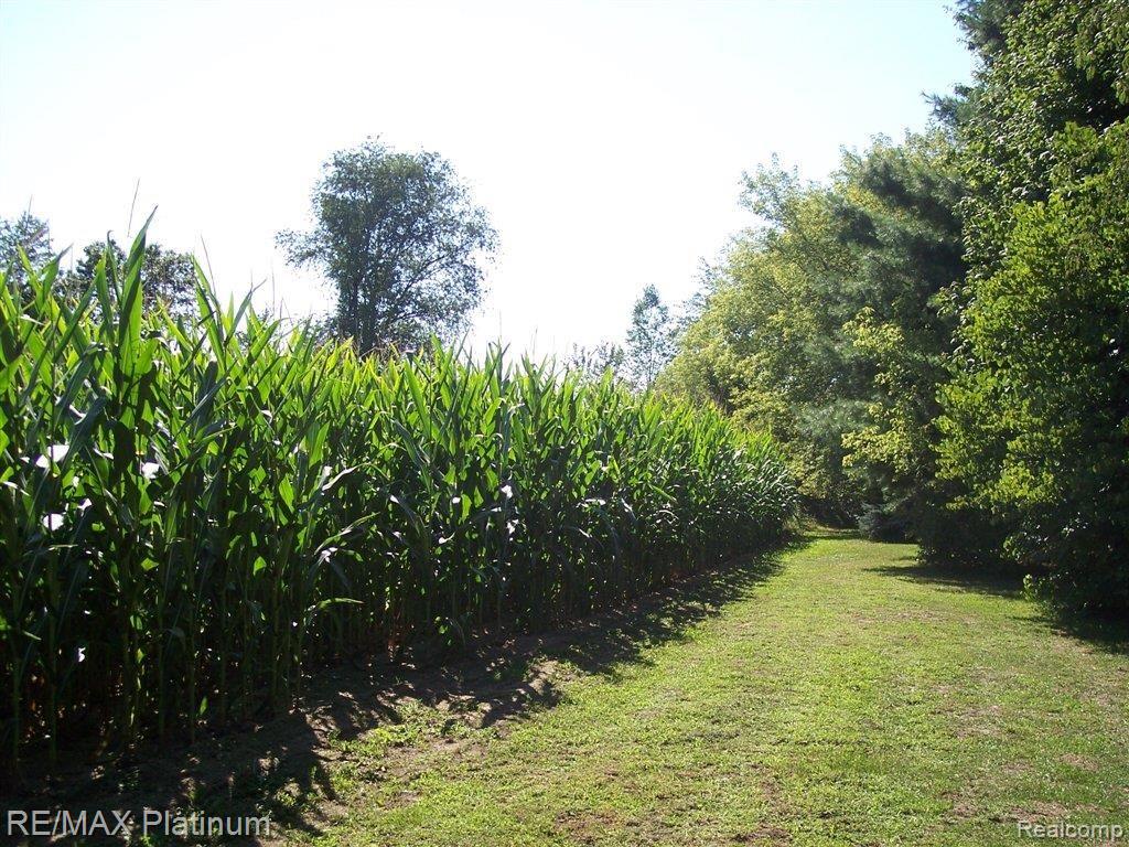 6295 West Allen Road Fowlerville, MI 48836 - Photo 21 of 24 BACKS-2-FARMS
