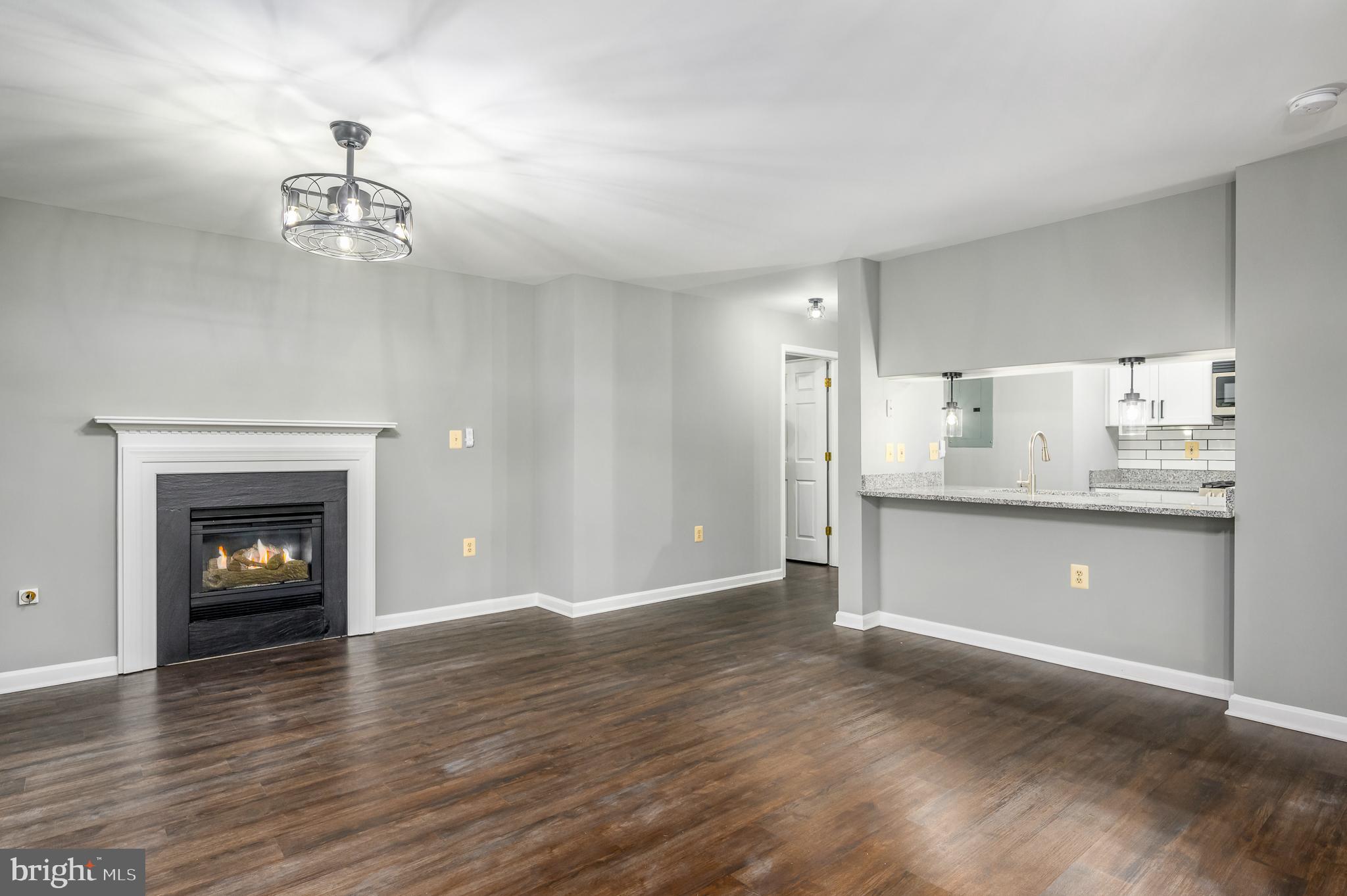 21012 Timber Ridge Terrace, Unit 101 Ashburn, VA 20147 - Photo 7 of 29 Living Room and Fireplace