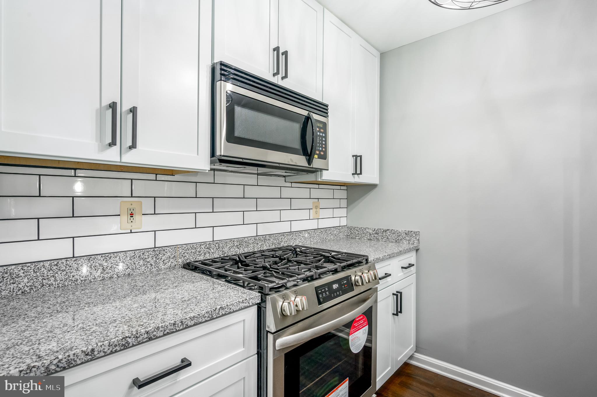 21012 Timber Ridge Terrace, Unit 101 Ashburn, VA 20147 - Photo 10 of 29 Remodeled Kitchen