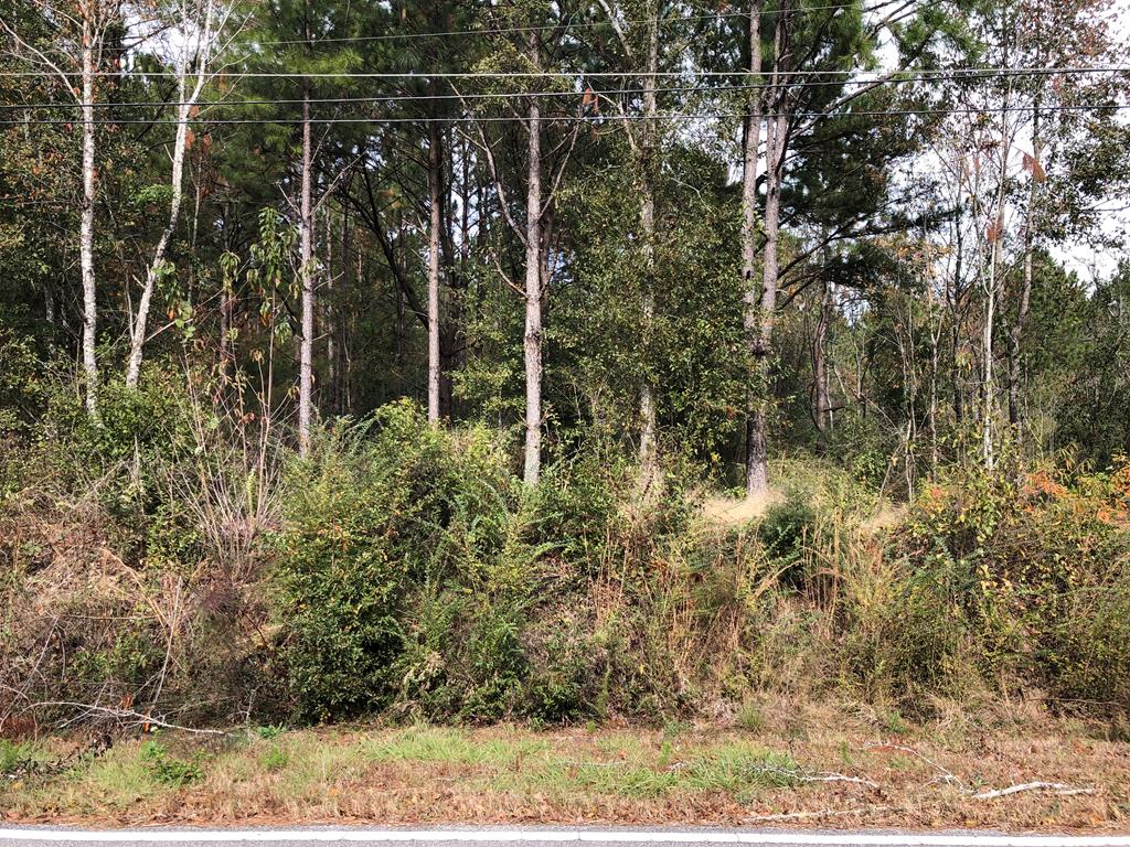 Lot 1 Oppert Road Dothan, AL 36301 - Photo 1 of 1