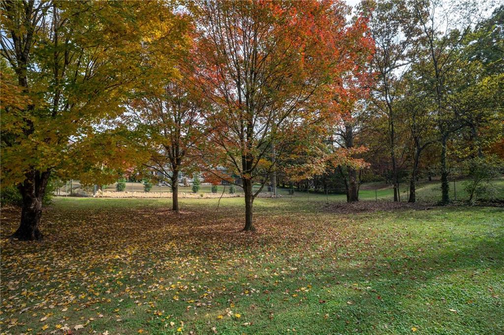 127 Windsor Drive Calhoun, GA 30701 - Photo 50 of 57 a view of a tree in the middle of a yard