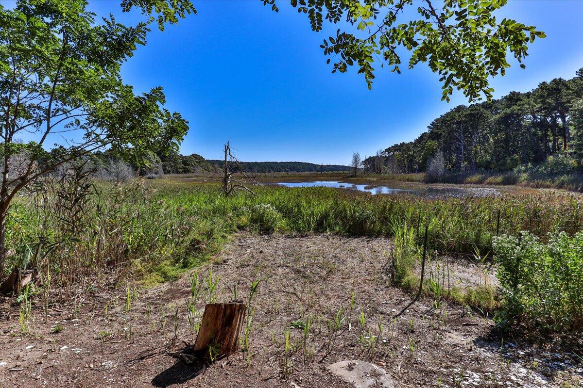 5 Indian Neck Road Wellfleet, MA 02667 - Photo 11 of 24 a view of a garden with plants and large trees