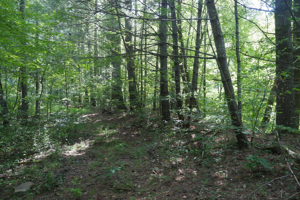 4163 Lick Creek Road Birchleaf, VA 24220 - Photo 62 of 86 Gallery Image 62