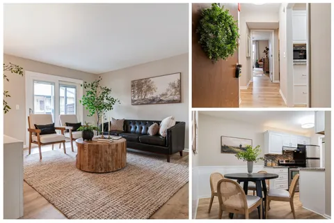 a living room with furniture and a potted plant