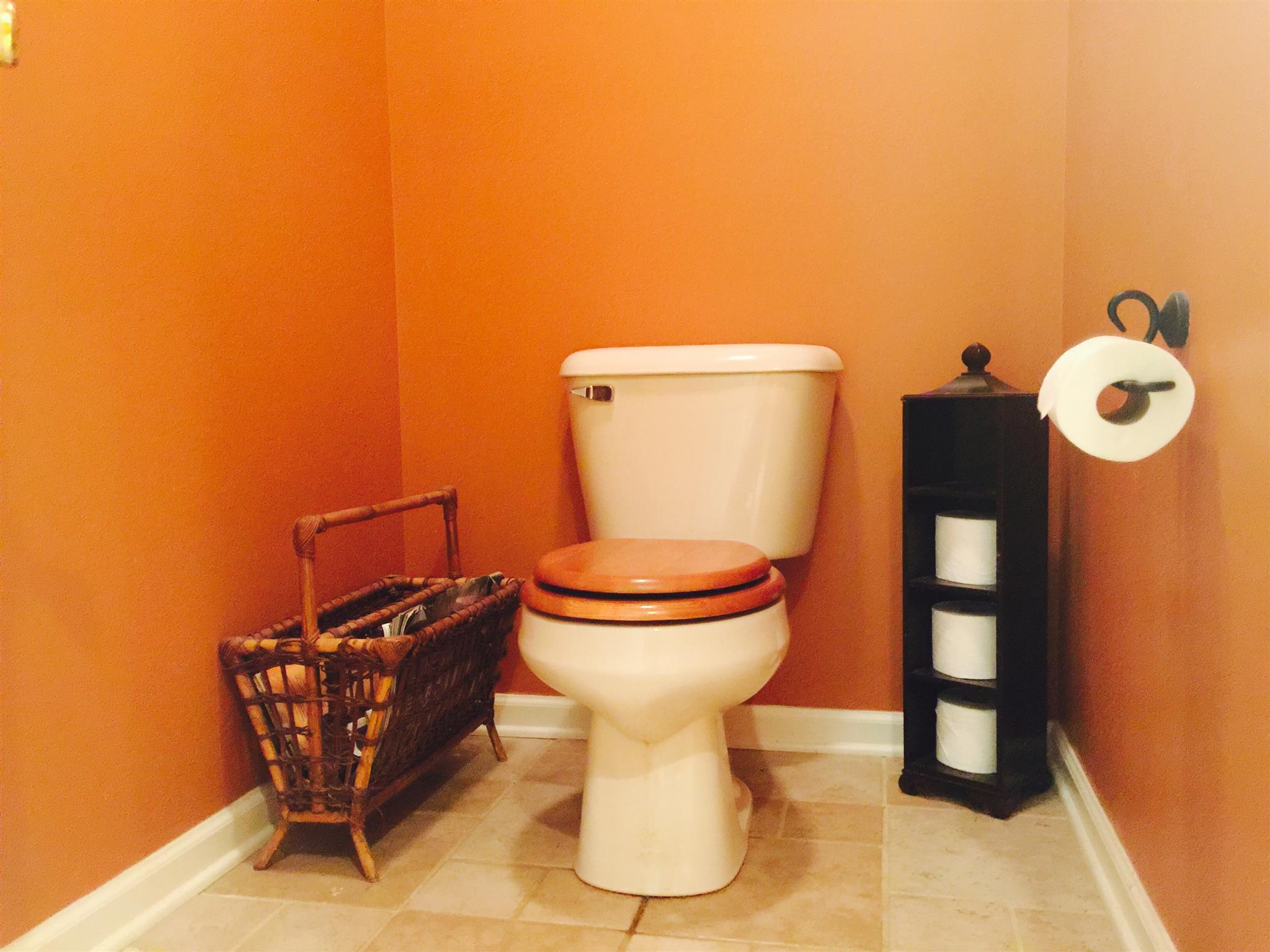 6762 New Chapel Road Springfield, TN 37172 - Photo 17 of 30 a white toilet sitting next to a bathroom sink
