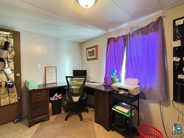 5165 Howard Gnesen Road Duluth, MN 55803 - Photo 12 of 20