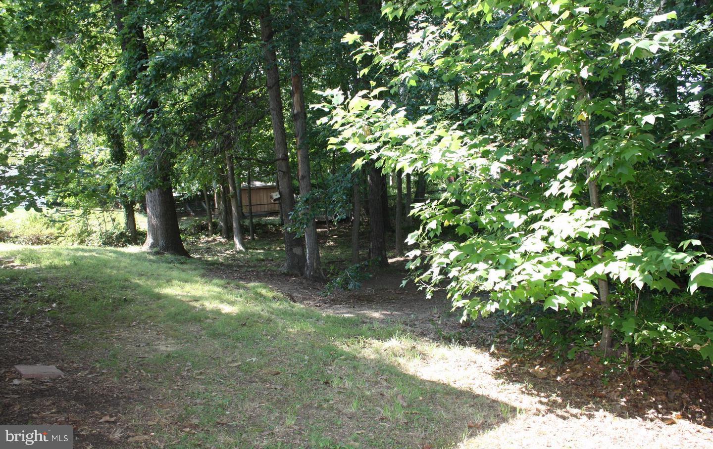 6901 Rolling Road Springfield, VA 22152 - Photo 19 of 20 Backyard