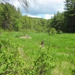450 Glebe Road Westmoreland, NH 03467 - Photo 5 of 8