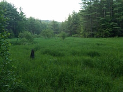 450 Glebe Road Westmoreland, NH 03467 - Photo 7 of 8