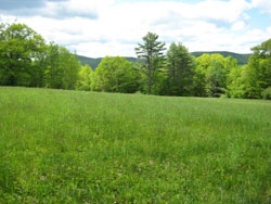 450 Glebe Road Westmoreland, NH 03467 - Photo 8 of 8