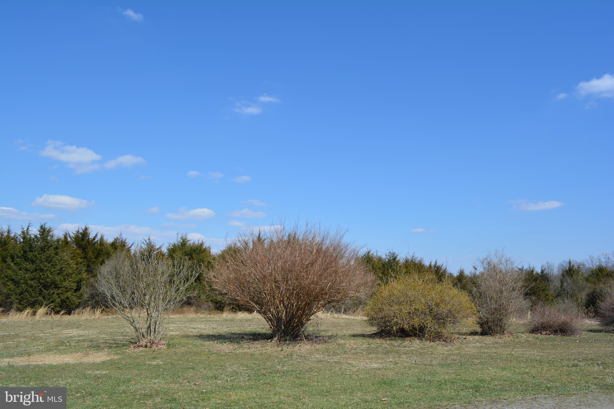 2598 Guard Hill Road Front Royal, VA 22630 - Photo 55 of 66 View