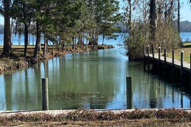 Lot 9 Southwest Shore Avenue Samson, AL 36477 - Photo 2 of 4