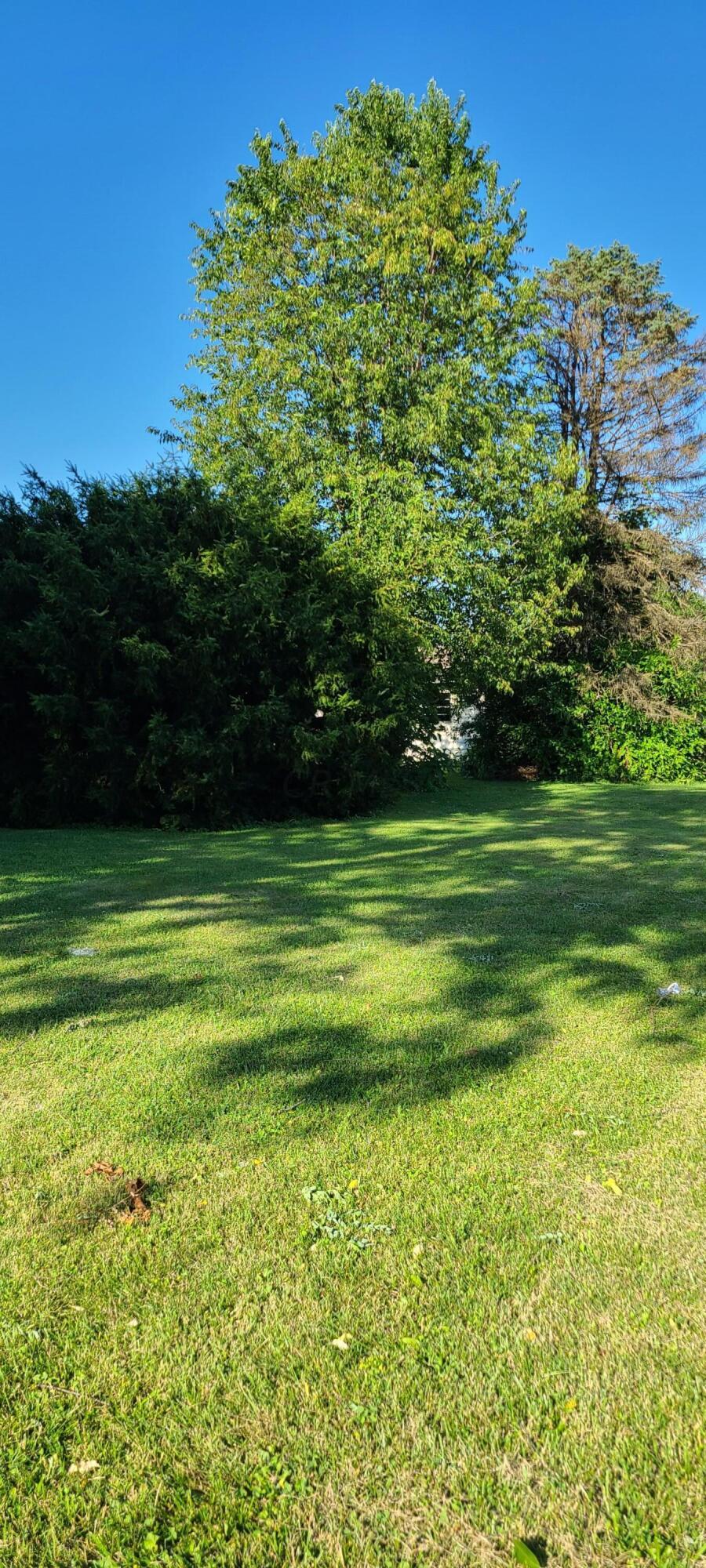 1127 Ramp Lane Heath, OH 43056 - Photo 6 of 28 Ramp5
