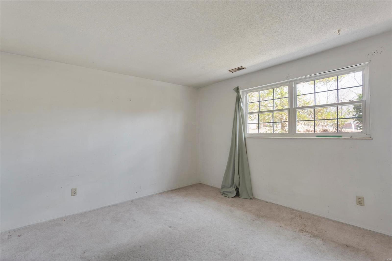 310 Ries Court Ballwin, MO 63021 - Photo 7 of 25