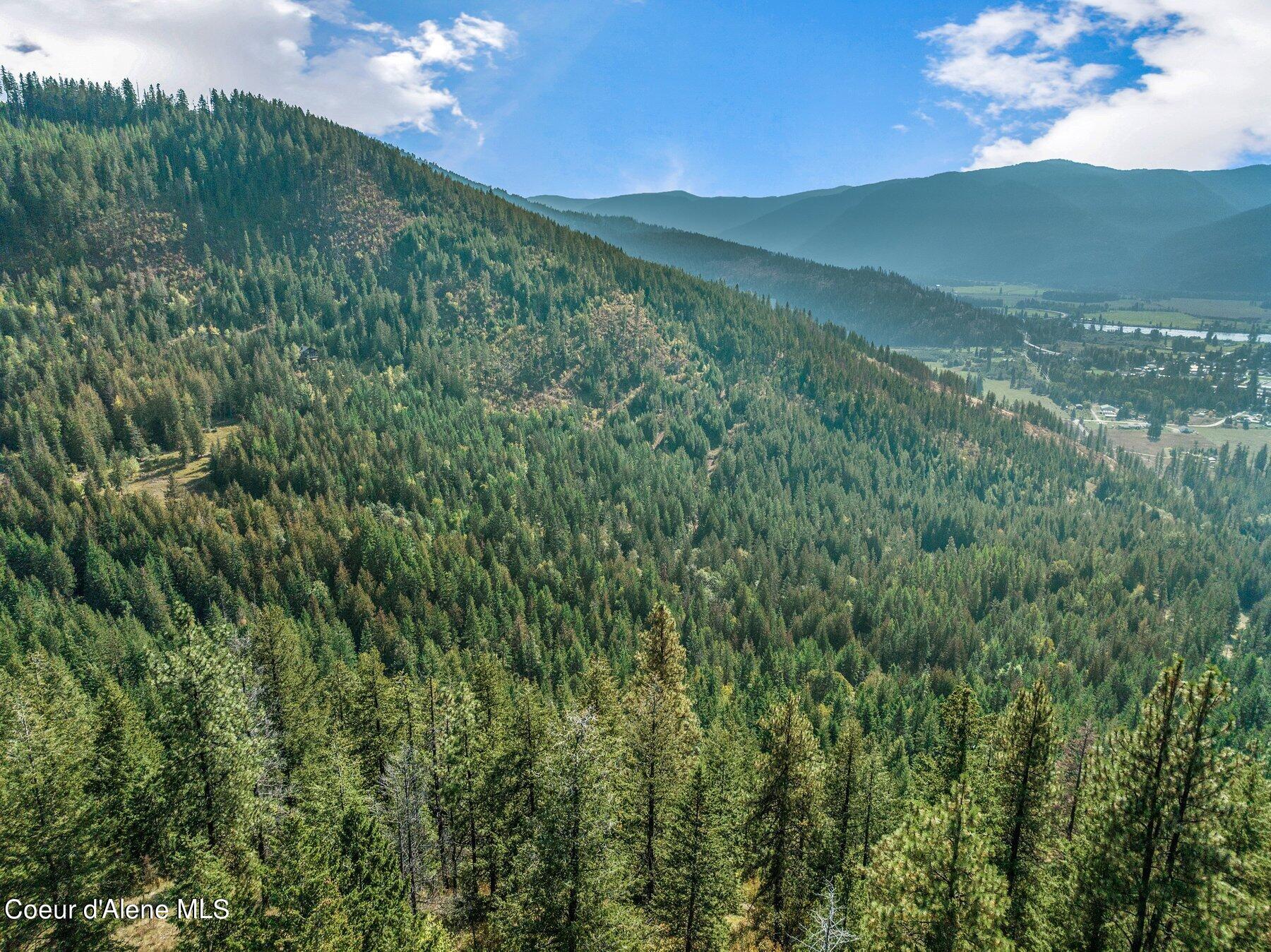 818 Silver Creek Road Clark Fork, ID 83811 - Photo 28 of 45 Sloping