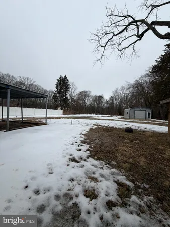a view of a yard