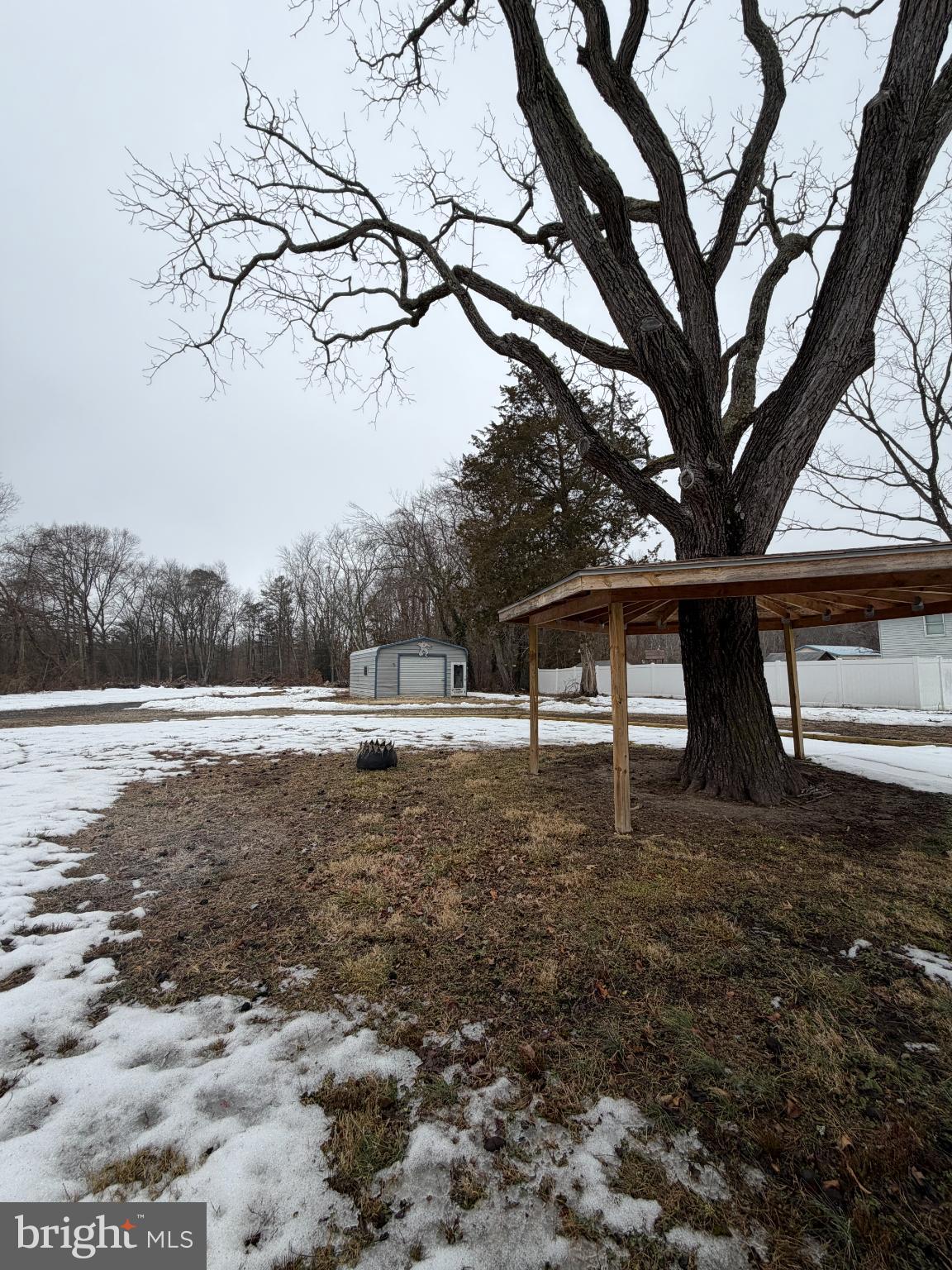 1059 Porchtown Road Franklinville, NJ 08322 - Photo 13 of 13 a view of a yard with a tree