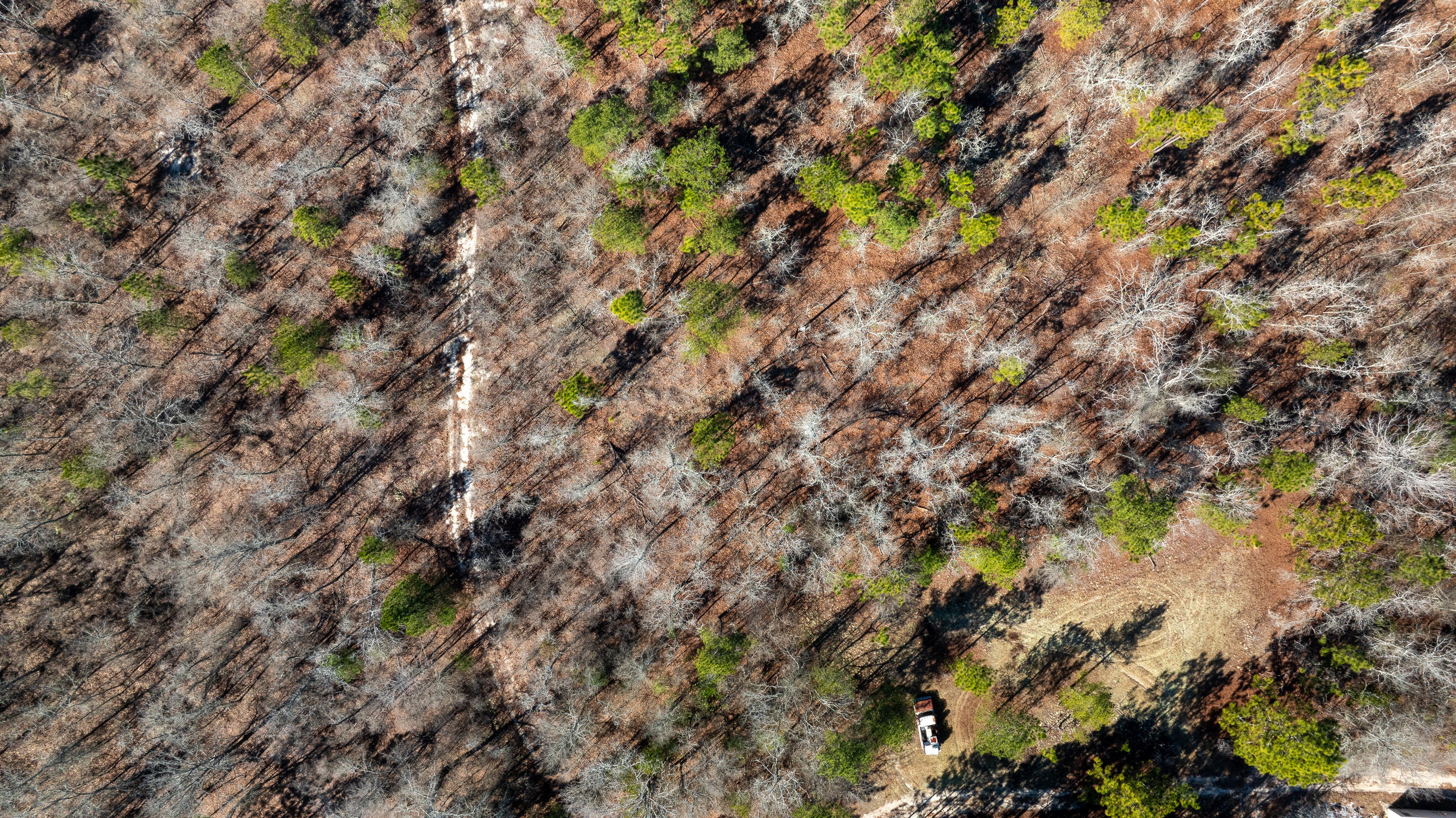 0 Sand Dam Road Wagener, SC 29164 - Photo 10 of 10