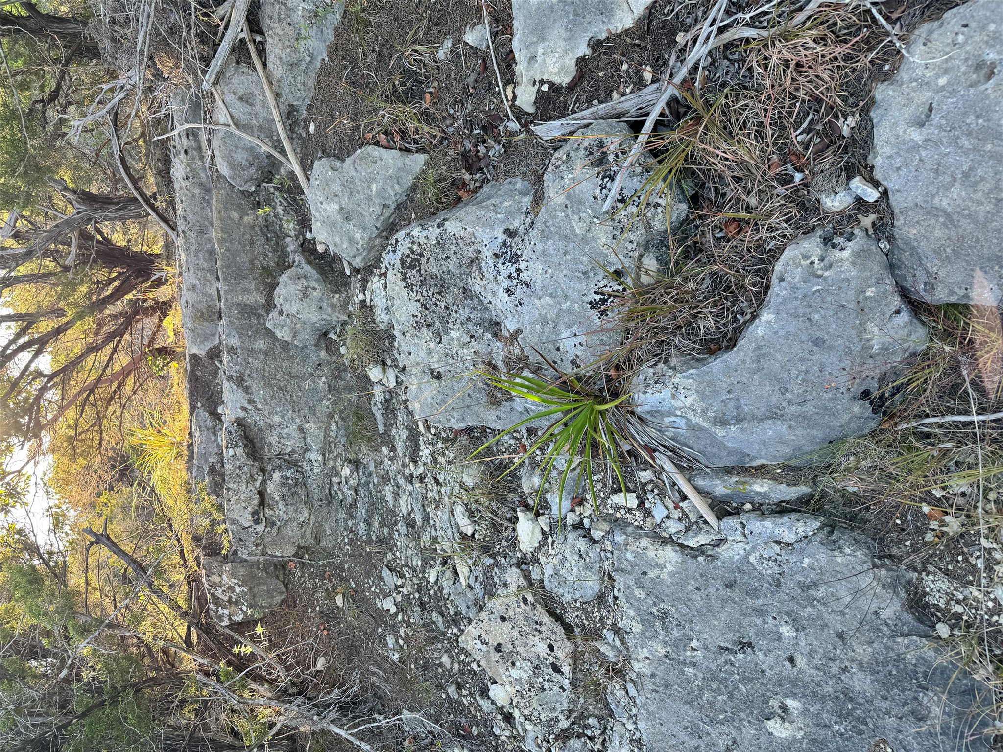 108 Oak Ridge Dripping Springs, TX 78620 - Photo 5 of 17 Rock ledges are common