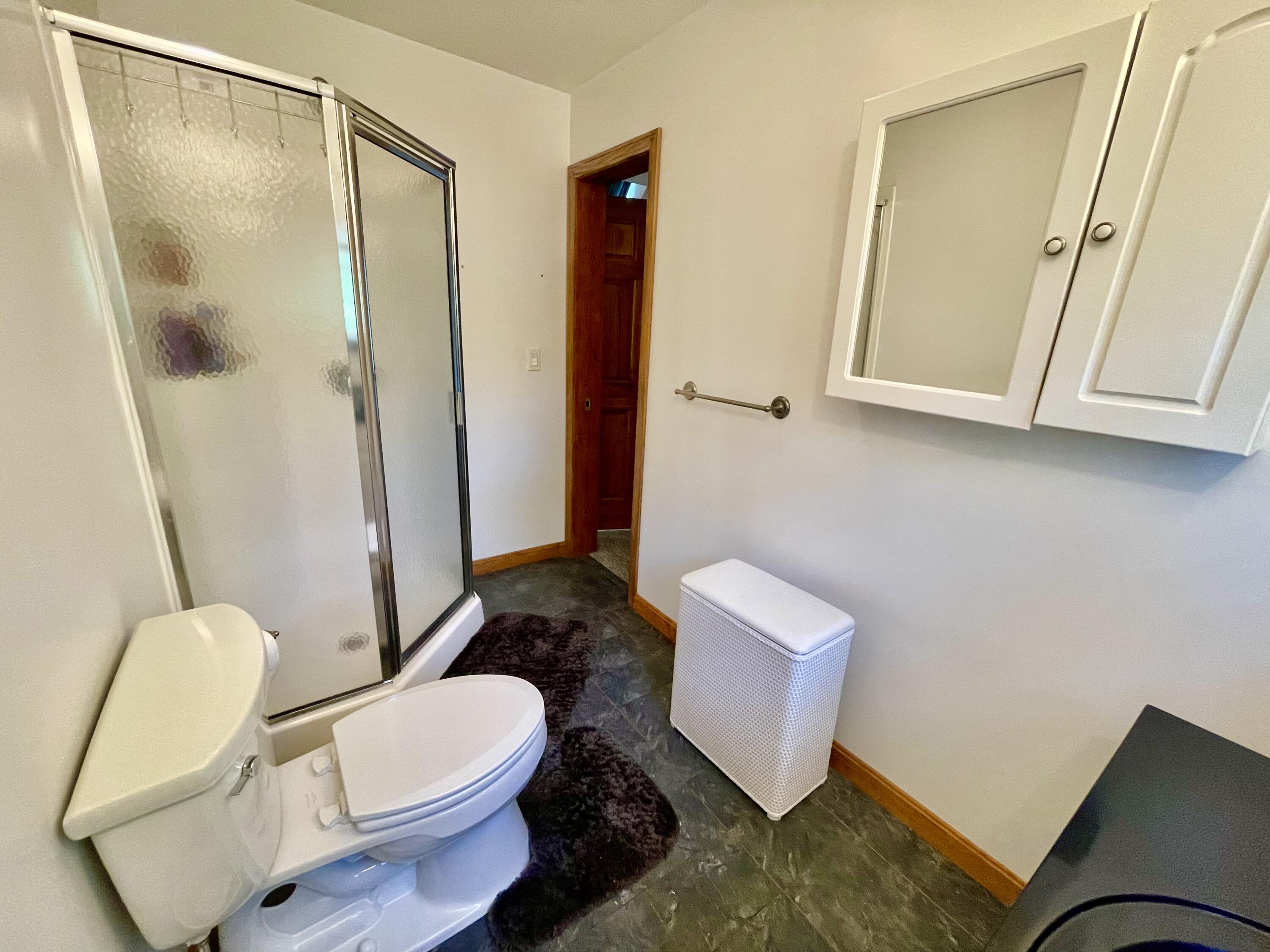 26 South Shore Rd (Fire Road 1) Milo, ME 04463 - Photo 85 of 138 Walk in Shower Primary Bath