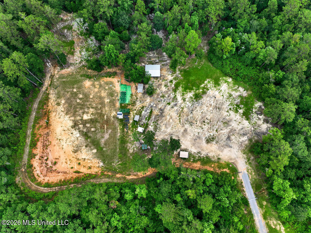 94 Desoto Road McHenry, MS 39561 - Photo 6 of 37 94DesotoRd.S-5