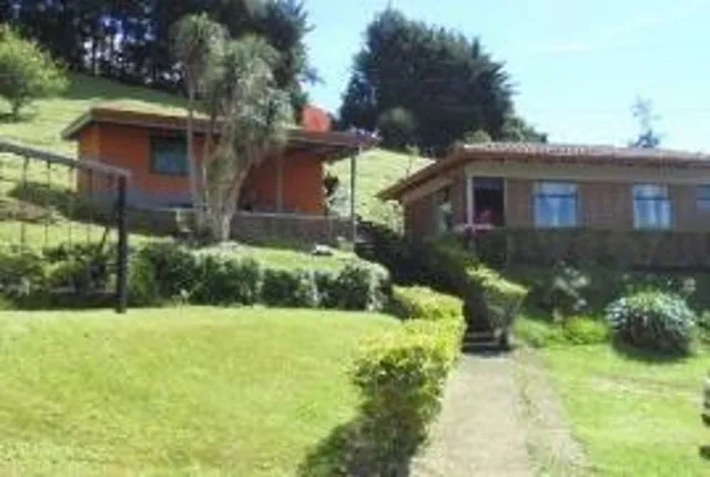 a view of backyard with garden and plants