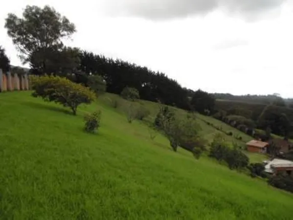 a view of a back yard