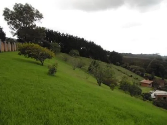 a view of a back yard