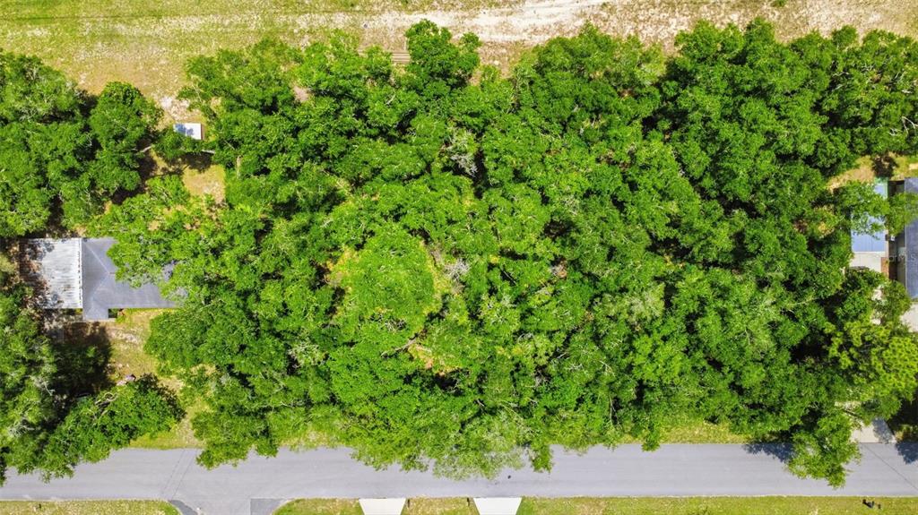 575 North Rooks Avenue Inverness, FL 34453 - Photo 4 of 9