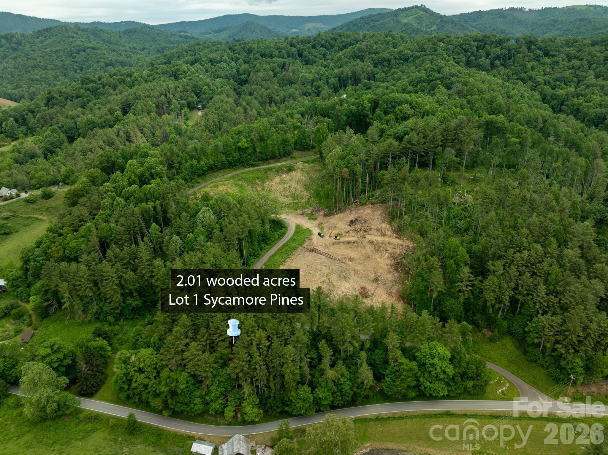 Tbd Tbd Sycamore Road Vilas, NC 28692 - Photo 4 of 38
