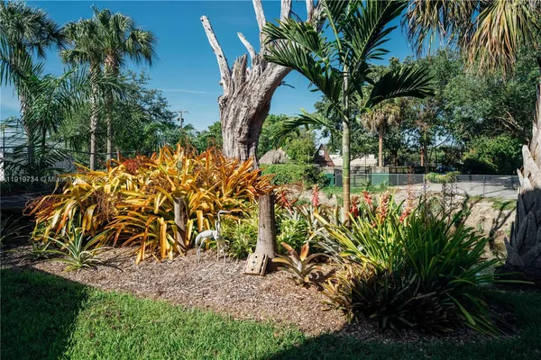 a view of a yard with plants
