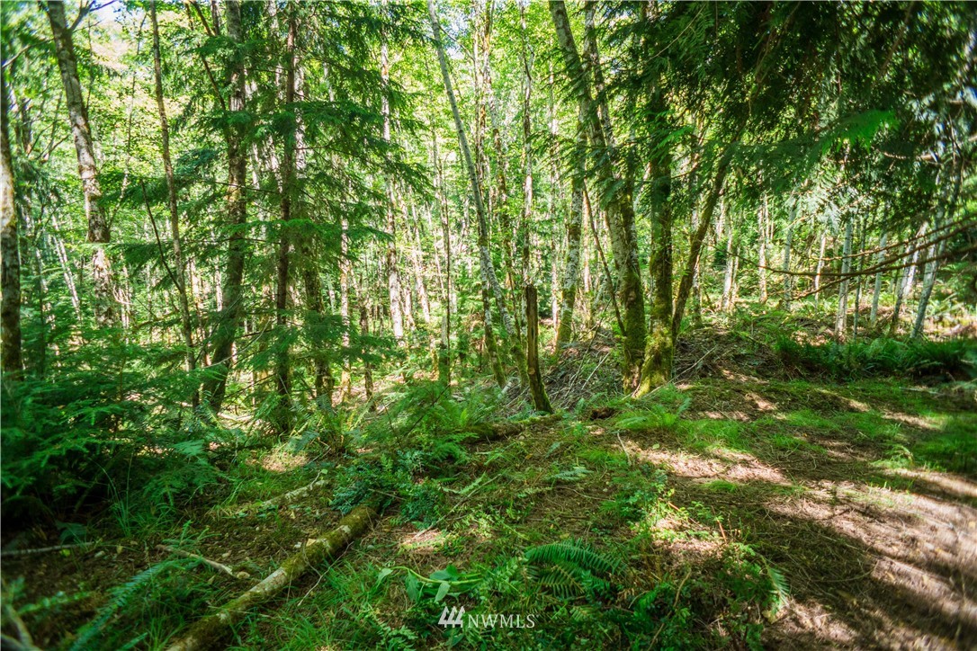 24 Northeast Capstan Rock Road Tahuya, WA 98588 - Photo 13 of 28 Gallery Image 13