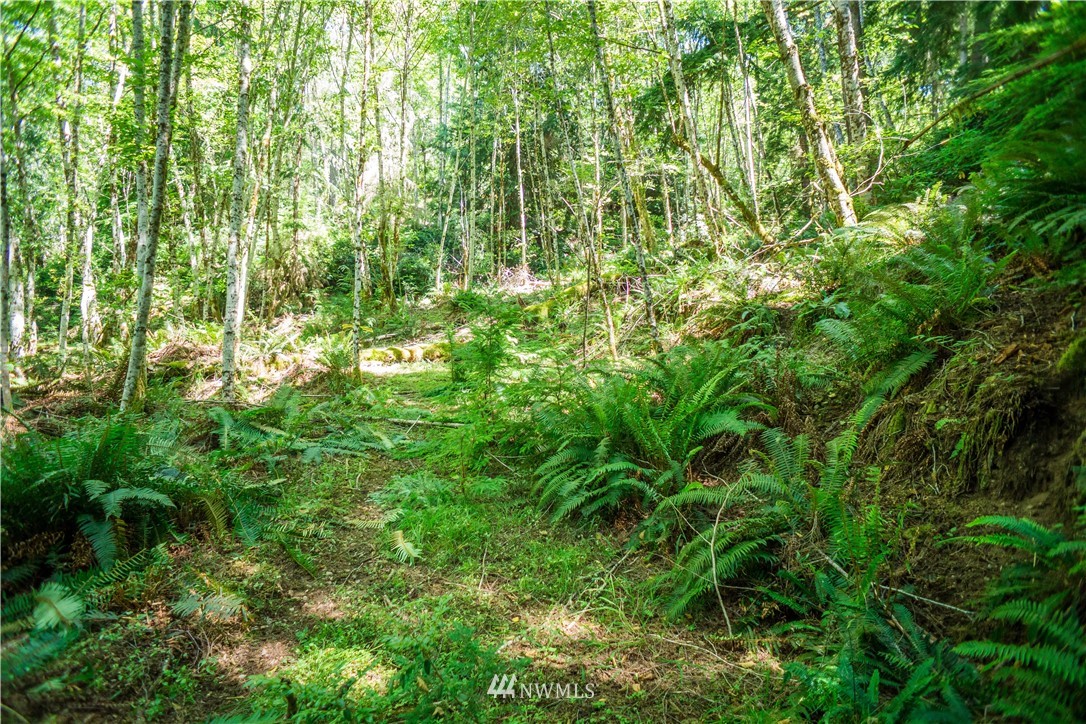 24 Northeast Capstan Rock Road Tahuya, WA 98588 - Photo 15 of 28 Gallery Image 15