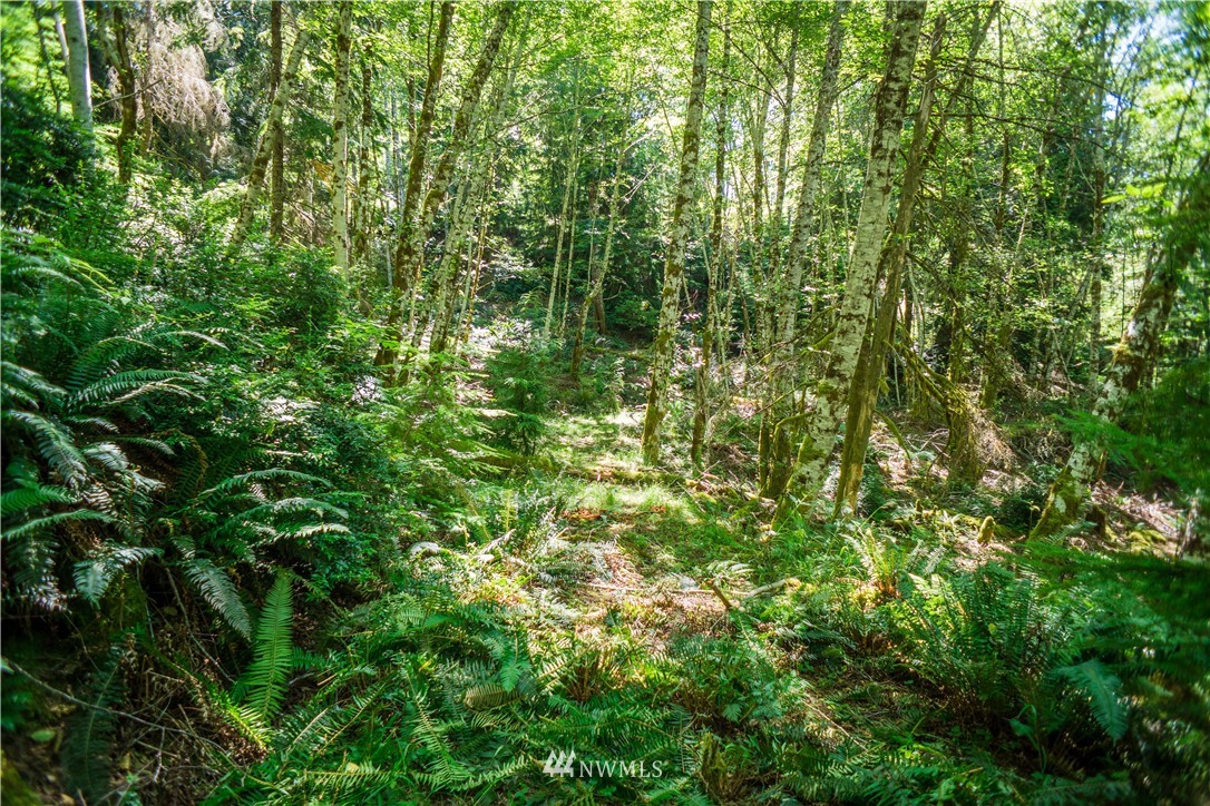 24 Northeast Capstan Rock Road Tahuya, WA 98588 - Photo 17 of 28 Gallery Image 17