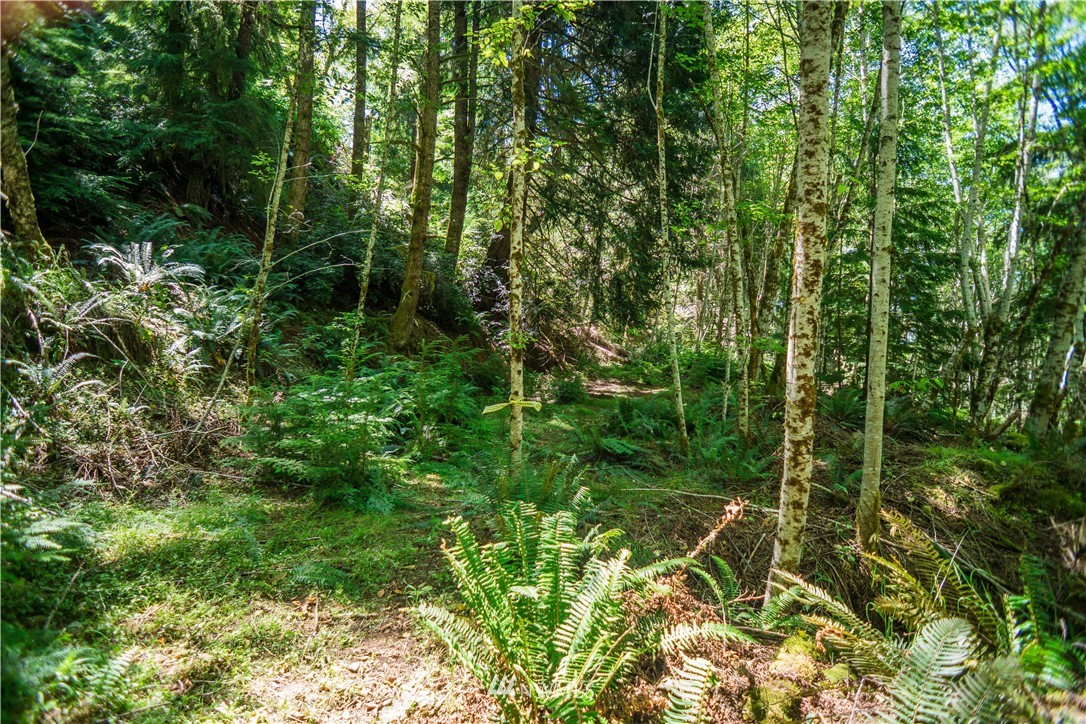 24 Northeast Capstan Rock Road Tahuya, WA 98588 - Photo 6 of 28 Gallery Image 6