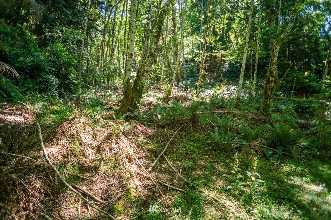 24 Northeast Capstan Rock Road Tahuya, WA 98588 - Photo 8 of 28 Gallery Image 8