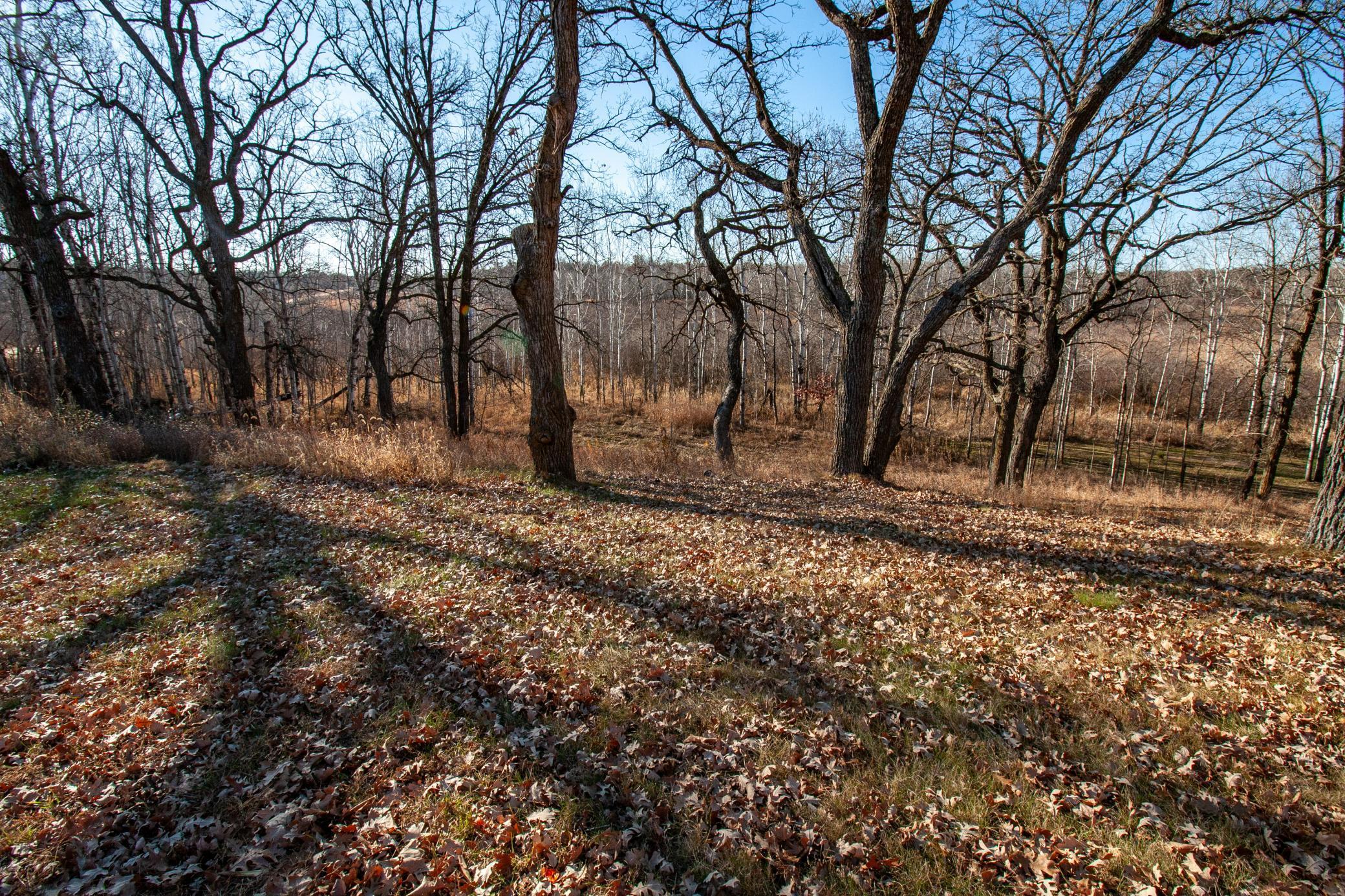 27855 Holiday Road Battle Lake, MN 56515 - Photo 34 of 46