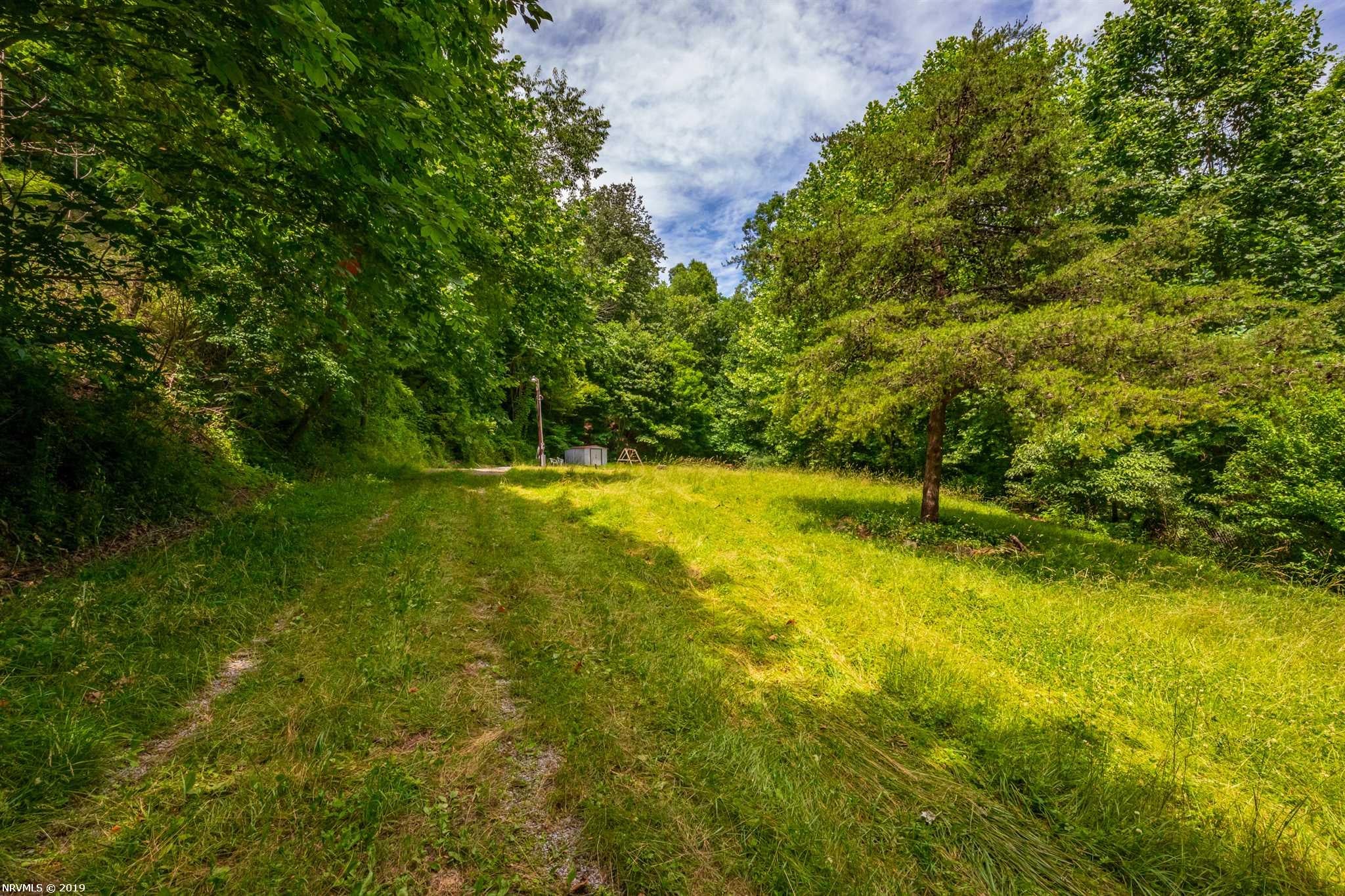 4233 Grapefield Road Bastian, VA 24314 - Photo 3 of 10 Gallery Image 3