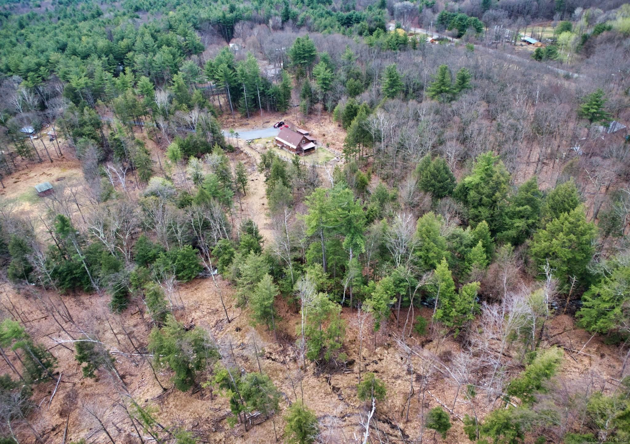 202 Wells Road Porter Corners, NY 12859 - Photo 40 of 41 Photo 40