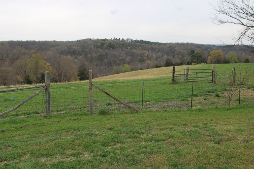 416 New Hope Road Marshall, AR 72650 - Photo 27 of 60 view from cabin back porch