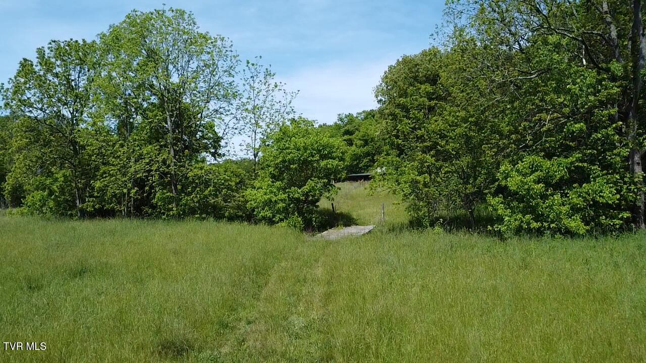Tbd Sugar Run Road Jonesville, VA 24263 - Photo 2 of 13 2026-05-15-11-38-48-977
