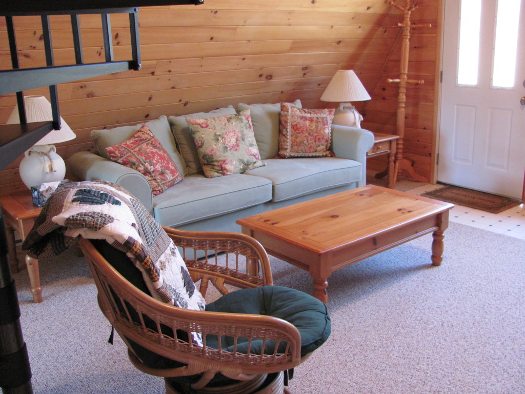 1525 North Main Road Otis, MA 01253 - Photo 5 of 13 a living room with furniture and a rug