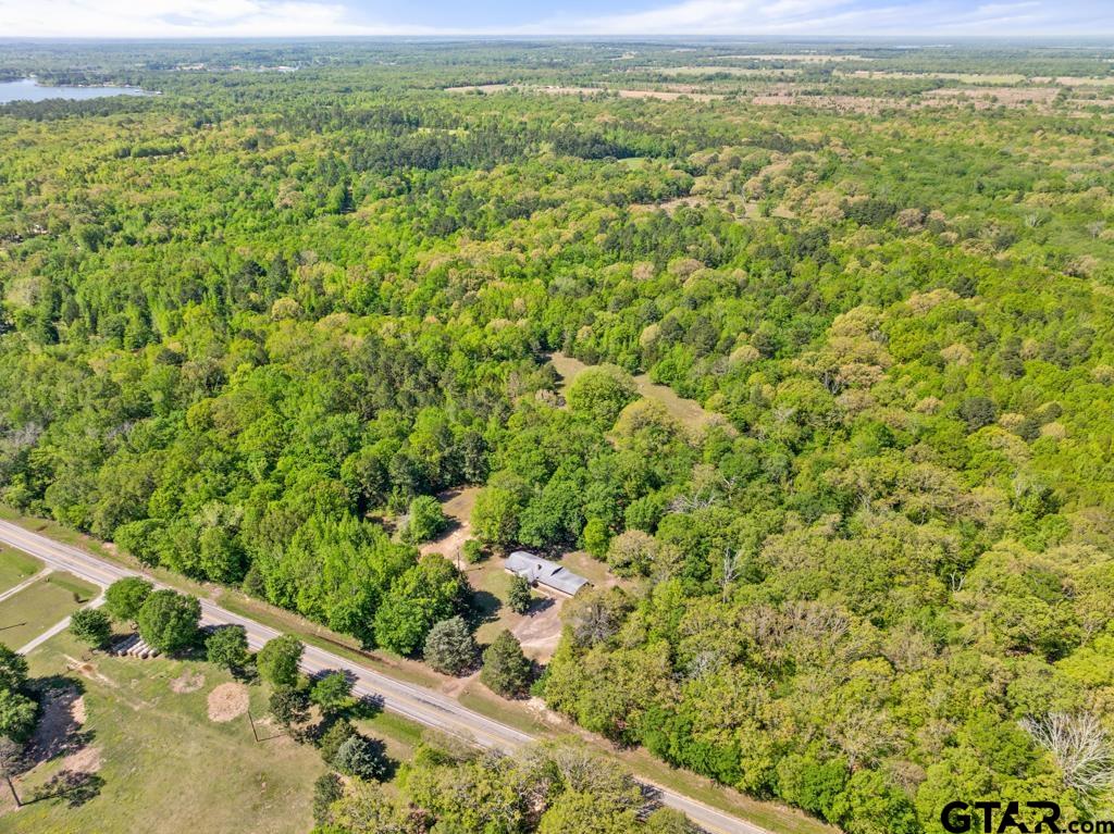 3549 Fm 69 Quitman, TX 75783 - Photo 17 of 32 a view of a field with an ocean view