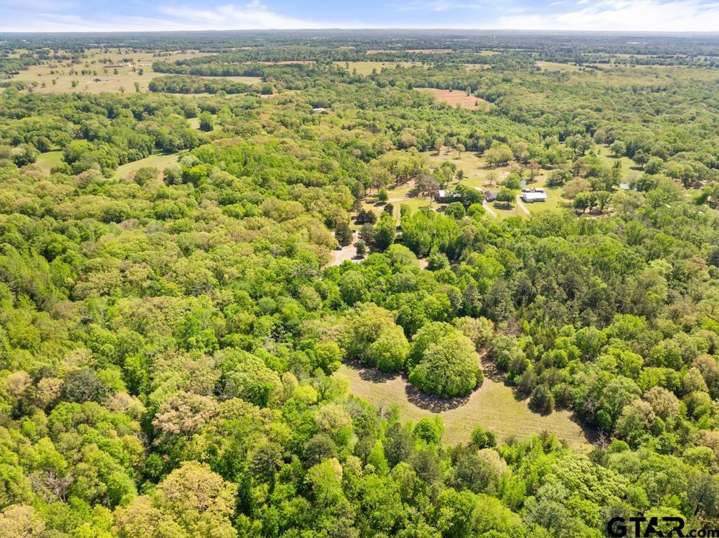 3549 Fm 69 Quitman, TX 75783 - Photo 24 of 32 a view of a big yard with lots of bushes