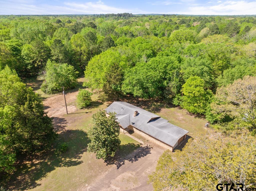 3549 Fm 69 Quitman, TX 75783 - Photo 31 of 32 a view of a yard with plants