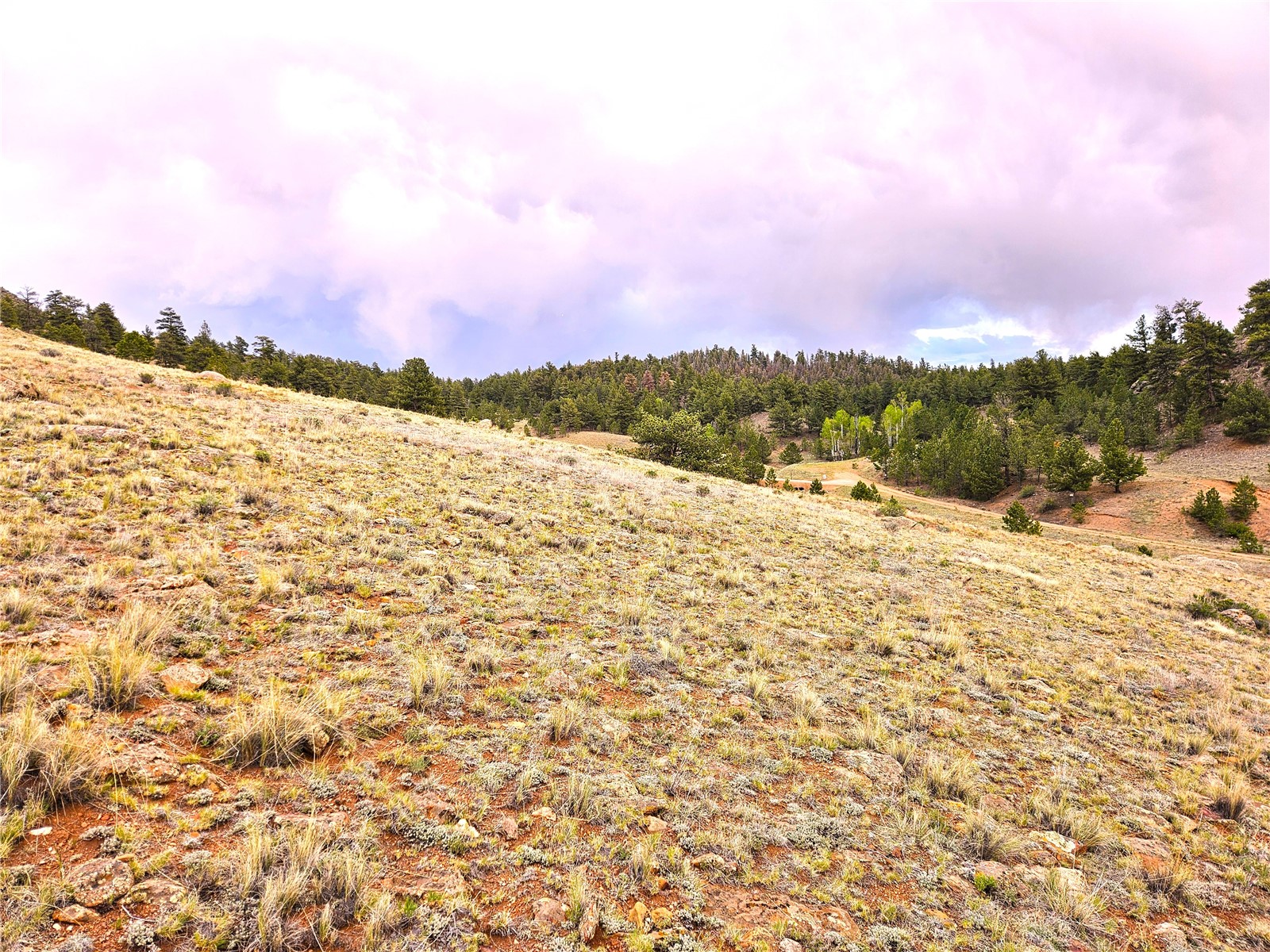 Pcs#25251 Fernando Trail Hartsel, CO 80449 - Photo 27 of 29
