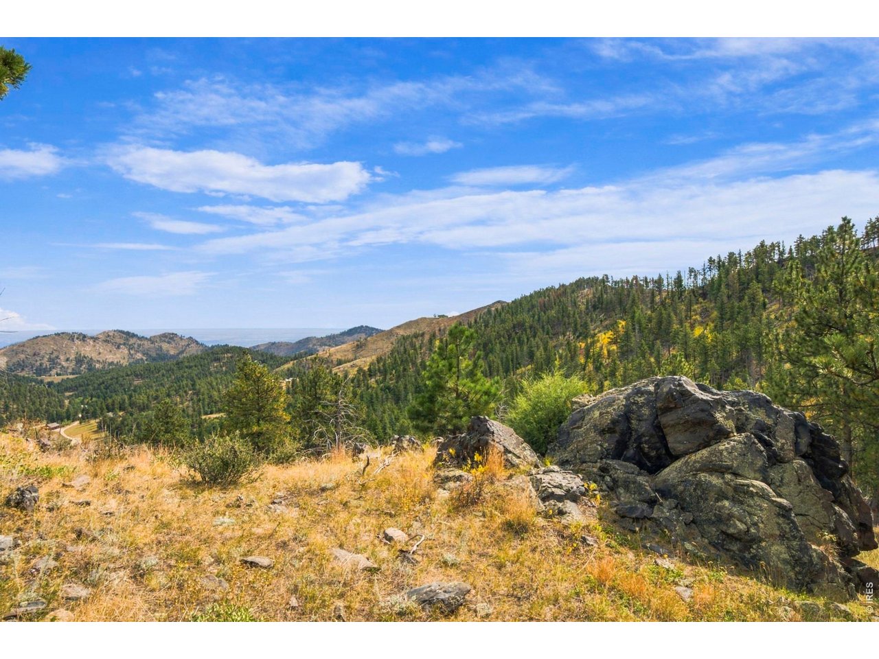 14133 Rist Canyon Road Bellvue, CO 80512 - Photo 36 of 44 Gallery Image 36