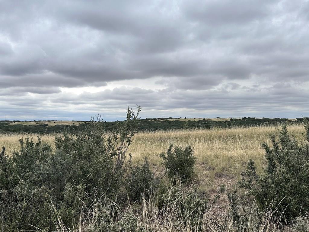 Lot 674 Geronimo Road Colorado City, CO 81019 - Photo 2 of 10 Gallery Image 2
